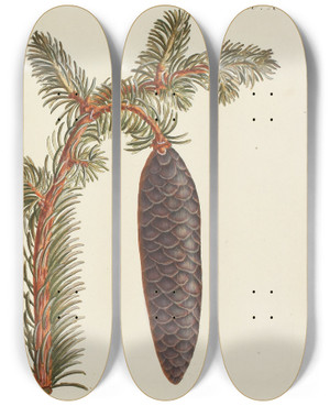 Triptych art skateboard deck of Carl Christoph Oelhafen Von Schllenbach Abbildung Der Wilden Bume Stauden Und Buschgewchse Pl015 by Carl Christoph Oelhafen Von Schollenbach (1709-1785)