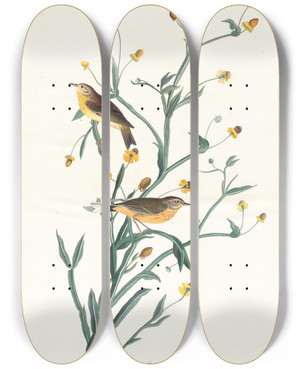 Triptych art skateboard deck of John James Audubon Yellow Redpoll Warbler by John James Audubon (1785-1851)
