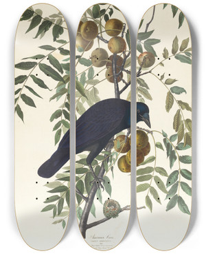 Triptych art skateboard deck of John James Audubon American Crow by John James Audubon (1785-1851)