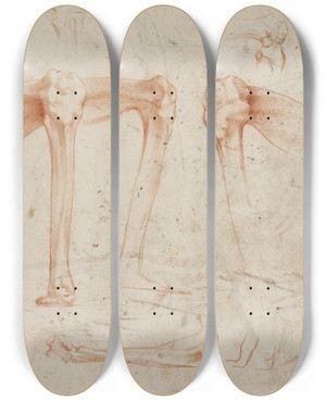 Triptych art skateboard deck of Rosso Fiorentino Studies Of Legs Knees And Arms by Rosso Fiorentino (1494-1540) Triptych art skateboard deck of Rosso Fiorentino Studies Of Legs Knees And Arms by Rosso Fiorentino (1494-1540)