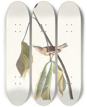 Triptych art skateboard deck of John James Audubon Louisiana Water Thrush by John James Audubon (1785-1851)