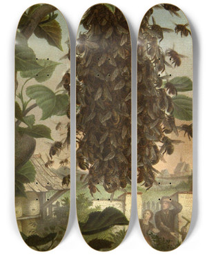 Triptych art skateboard deck of Alfred Edmund Brehm Die Insekten Tausendfussler Und Spinnen Pl 08 by Alfred Edmund Brehm (1829-1884)