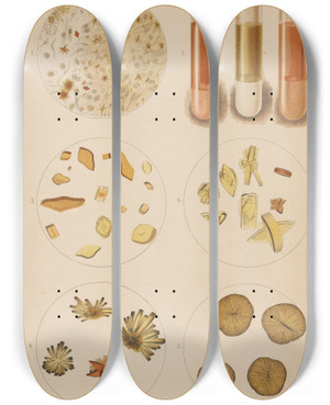 Triptych art skateboard deck of Hermann Rieder Uric Acid Crystals by Hermann Rieder