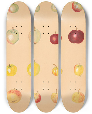 Triptych art skateboard deck of Nikolai Ivanovich Vavilov The Wild Apples Of Caucasus by Nikolai Ivanovich Vavilov (1887-1943)
