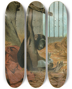 Triptych art skateboard deck of John George Wood Chimpanzee by John George Wood (1827-1889)