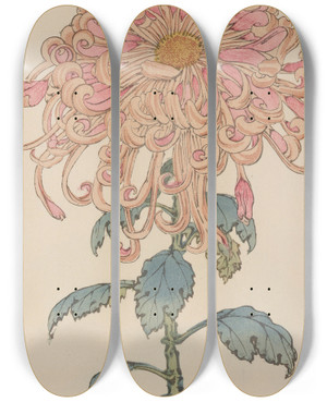 Triptych art skateboard deck of Keika Hasegawa Keika Hyakugiku Pl06 by Keika Hasegawa (1892-1905)