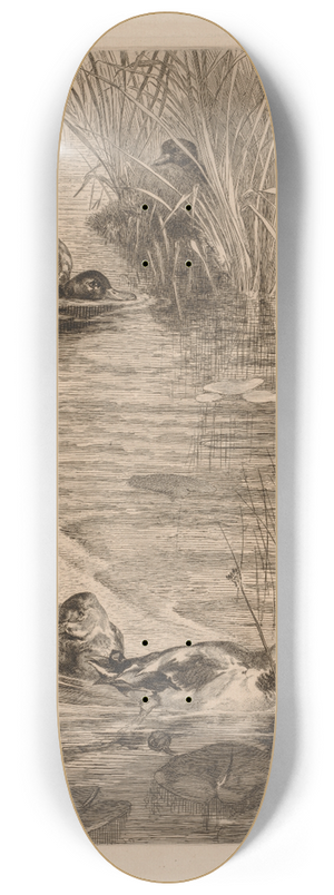 Flix Bracquemond - Ducks at play 8.25 inch art skate deck Flix Bracquemond - Ducks at play 8.25 inch art skate deck