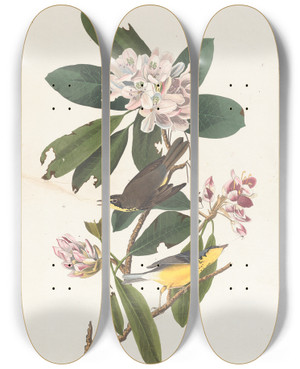 Triptych art skateboard deck of John James Audubon Canada Warbler by John James Audubon (1785-1851)