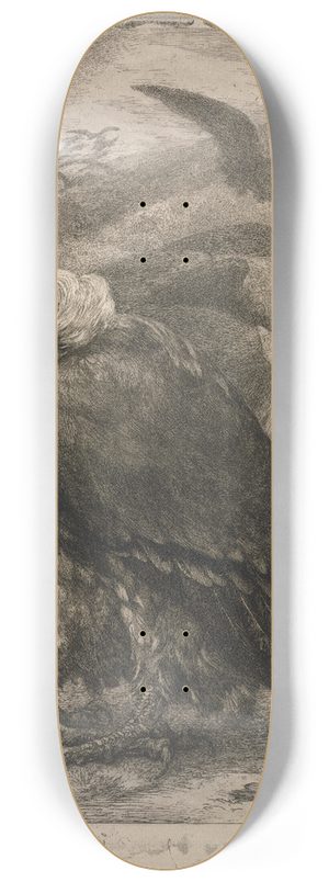 Flix Bracquemond - Vulture 8.25 inch art skate deck Flix Bracquemond - Vulture 8.25 inch art skate deck