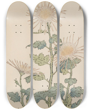 Triptych art skateboard deck of Keika Hasegawa Keika Hyakugiku Pl04 by Keika Hasegawa (1892-1905)