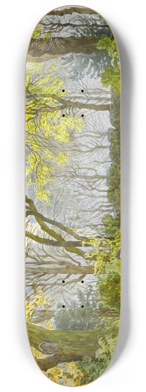 Flix Brard - Le square de la mairie du XIVme arrondissement. Les veuves 8.25 inch art skate deck