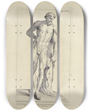 Triptych art skateboard deck of Michael Van Der Gucht Anatomy Improvd And Illustrated With Regard To The Uses Thereof In Designing Pl36 by Michael van der Gucht (1660-1725)