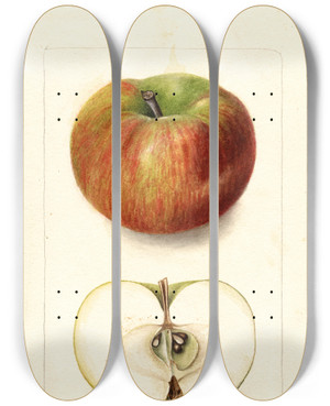 Triptych art skateboard deck of Deborah Griscom Passmore Malus Domestica Keeskemet by Deborah Griscom Passmore (1840-1911)