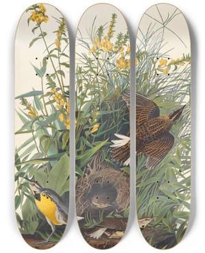 Triptych art skateboard deck of John James Audubon Meadow Lark by John James Audubon (1785-1851)
