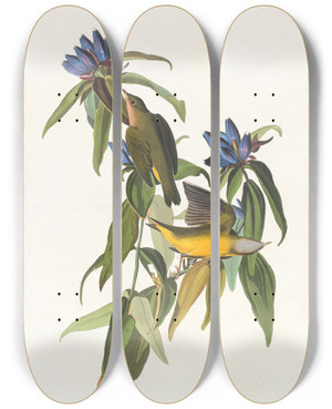 Triptych art skateboard deck of John James Audubon Connecticut Warbler by John James Audubon (1785-1851)