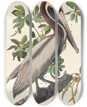 Triptych art skateboard deck of John James Audubon Brown Pelican Pelecanus Fuscus by John James Audubon (1785-1851)