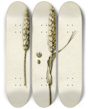 Triptych art skateboard deck of Barend Hendrik Thier Rijpe Tarwe by Barend Hendrik Thier (1751-1814)