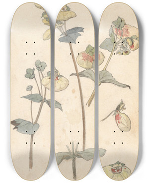 Triptych art skateboard deck of Theo Nieuwenhuis Bloemstudies by Theo Nieuwenhuis (1866-1951)