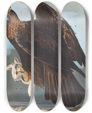Triptych art skateboard deck of John James Audubon Golden Eagle by John James Audubon (1785-1851)