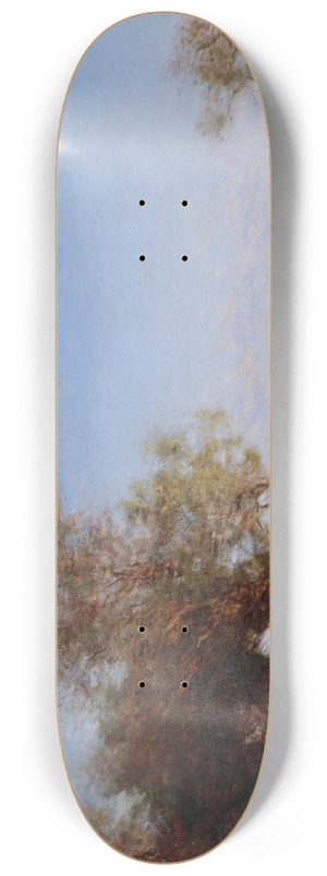 Flix Ziem - Chevaux Sauvages En Camargue 8.25 inch art skate deck