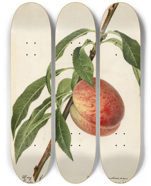 Triptych art skateboard deck of Royal Charles Steadman Prunus Persica Mayflower by Royal Charles Steadman (1875-1964)