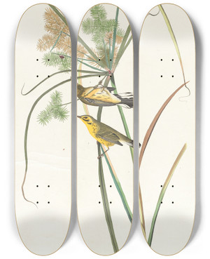 Triptych art skateboard deck of John James Audubon Prairie Warbler by John James Audubon (1785-1851)