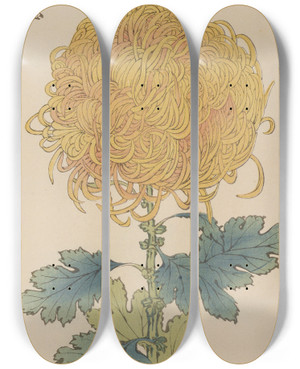 Triptych art skateboard deck of Keika Hasegawa Keika Hyakugiku Pl31 by Keika Hasegawa (1892-1905)