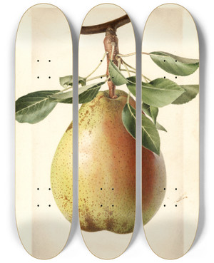 Triptych art skateboard deck of Royal Charles Steadman Pyrus Communis King Karl by Royal Charles Steadman (1875-1964)