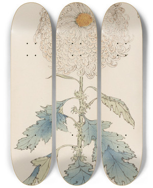 Triptych art skateboard deck of Keika Hasegawa Keika Hyakugiku Pl37 by Keika Hasegawa (1892-1905)
