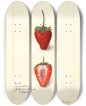 Triptych art skateboard deck of Amanda Almira Newton Fragaria Jamestown by Amanda Almira Newton (1860-1943)