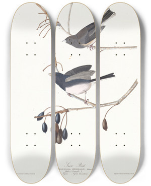 Triptych art skateboard deck of John James Audubon Snow Bird by John James Audubon (1785-1851)