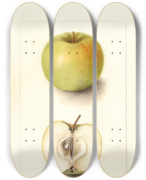 Triptych art skateboard deck of Deborah Griscom Passmore Malus Domestica Spohr by Deborah Griscom Passmore (1840-1911)
