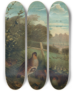 Triptych art skateboard deck of John George Wood Partridge by John George Wood (1827-1889)