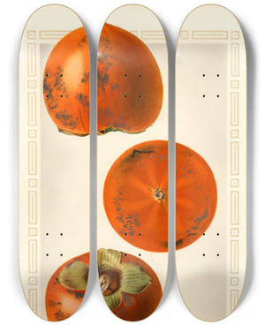 Triptych art skateboard deck of Royal Charles Steadman Diospyros Tane Nashi by Royal Charles Steadman (1875-1964)