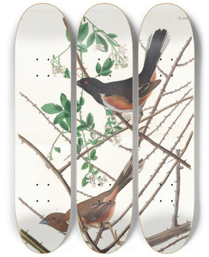 Triptych art skateboard deck of John James Audubon Towhe Bunting by John James Audubon (1785-1851)