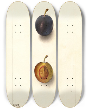 Triptych art skateboard deck of Deborah Griscom Passmore Prunus Domestica Thanksgiving Prune by Deborah Griscom Passmore (1840-1911)