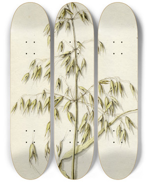 Triptych art skateboard deck of Barend Hendrik Thier Rijpe Haver by Barend Hendrik Thier (1751-1814)
