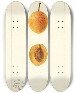 Triptych art skateboard deck of Bertha Heiges Prunus Domestica Silver Prune by Bertha Heiges (1866-1956)