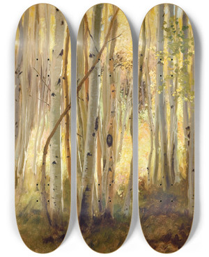 Triptych art skateboard deck of Hamilton Hamilton Sunlit Birch Forest by Hamilton Hamilton (1847-1928)
