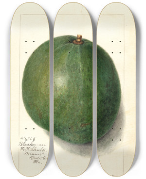 Triptych art skateboard deck of Amanda Almira Newton Persea Blackman by Amanda Almira Newton (1860-1943)