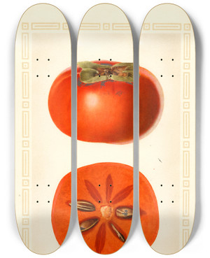 Triptych art skateboard deck of Royal Charles Steadman Diospyros Fuyu by Royal Charles Steadman (1875-1964)