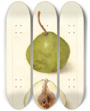 Triptych art skateboard deck of Deborah Griscom Passmore Pyrus Communis Holland by Deborah Griscom Passmore (1840-1911)