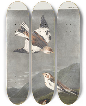 Triptych art skateboard deck of John James Audubon Snow Bunting by John James Audubon (1785-1851)