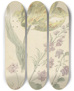 Triptych art skateboard deck of Elias Van Nijmegen Studie Van Een Gele Tulp En Een Andere Plant by Elias Van Nijmegen (1667-1755)