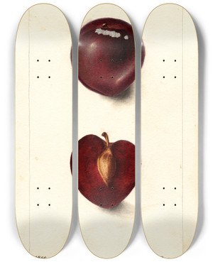 Triptych art skateboard deck of Deborah Griscom Passmore Prunus Domestica Fraud by Deborah Griscom Passmore (1840-1911)