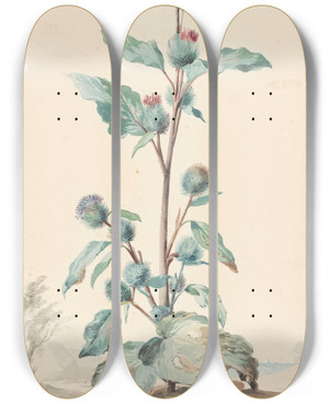 Triptych art skateboard deck of Aert Schouman Distel by Aert Schouman (1710-1792)