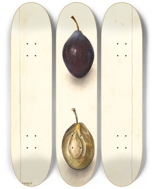Triptych art skateboard deck of Deborah Griscom Passmore Prunus Domestica Splendor_2 by Deborah Griscom Passmore (1840-1911)