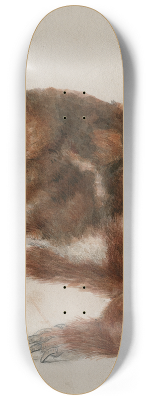 Floris Verster - Head of a cuscus 8.25 inch art skate deck