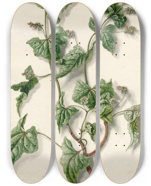 Triptych art skateboard deck of Barend Hendrik Thier Bloeiende Boekweit by Barend Hendrik Thier (1751-1814)