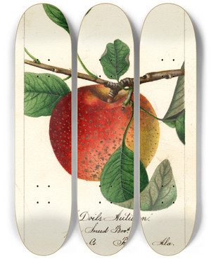 Triptych art skateboard deck of William Henry Prestele Malus Domestica Doils Autumn by William Henry Prestele (1838-1895)